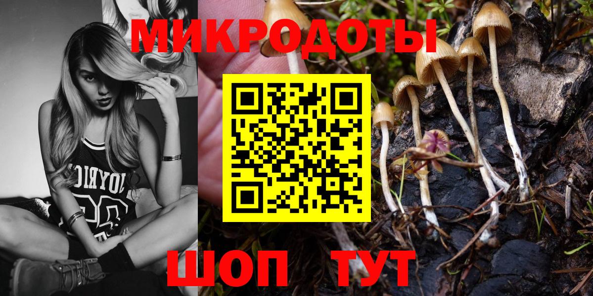 цены наркотик  Псилоцибиновые грибы Magic Shrooms  Вход с VPN  Кириши 