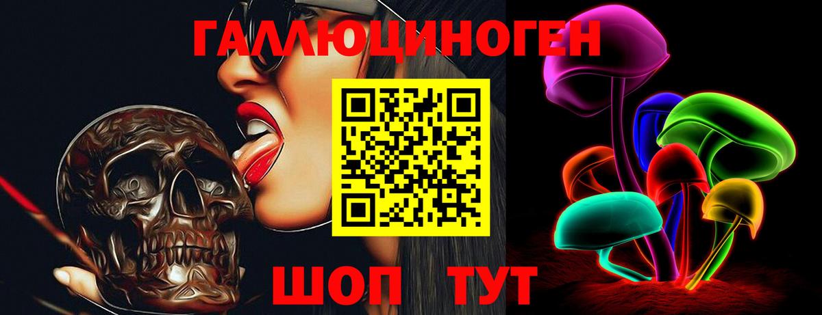 Галлюциногенные грибы Psilocybe Кириши